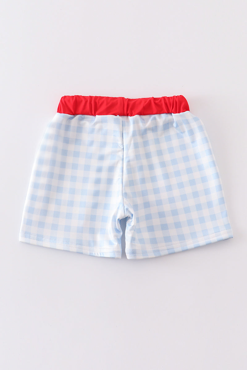 Patriotic Plaid Flag Embroidery Swim Trunks